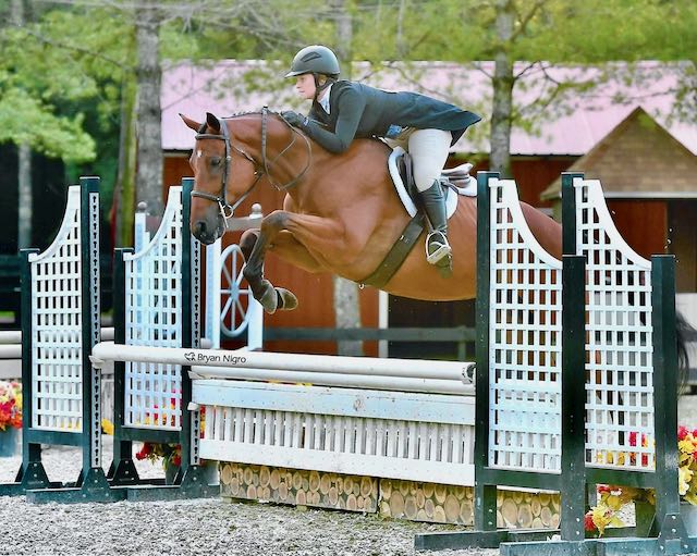 Willow Creek Farm Horse Boarding CT